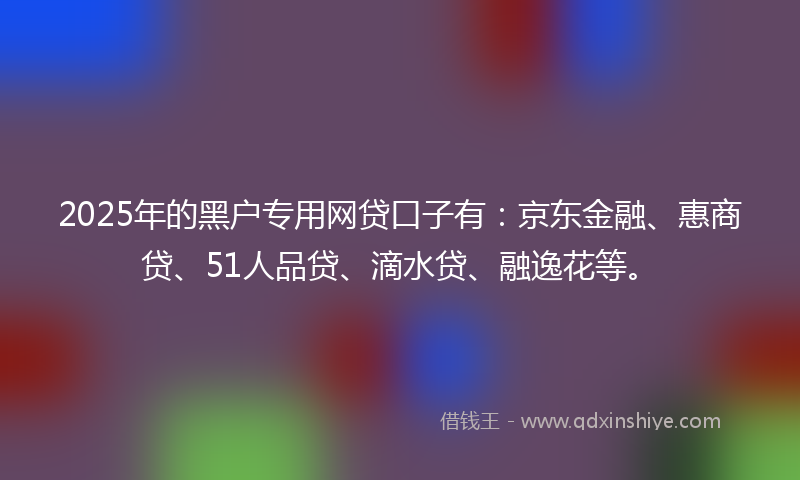 2025年的黑户专用网贷口子有：京东金融、惠商贷、51人品贷、滴水贷、融逸花等。