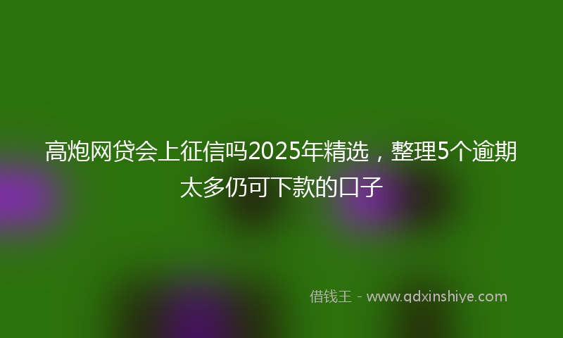 高炮网贷会上征信吗2025年精选，整理5个逾期太多仍可下款的口子