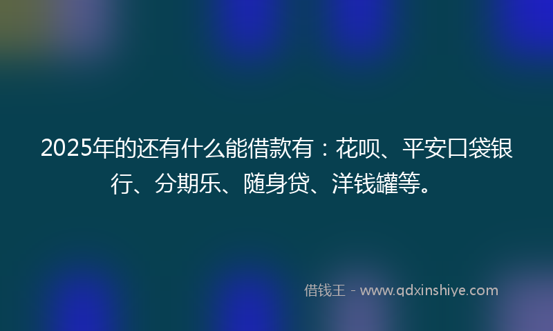 2025年的还有什么能借款有：花呗、平安口袋银行、分期乐、随身贷、洋钱罐等。