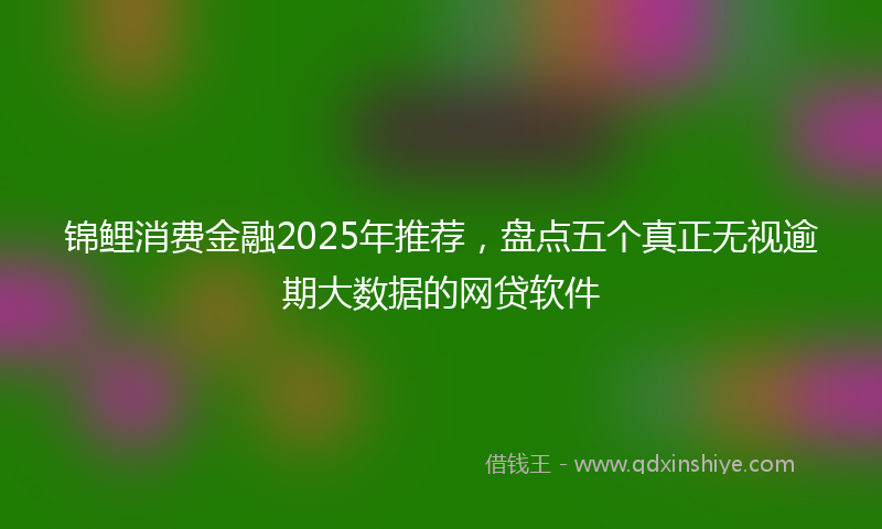 锦鲤消费金融2025年推荐，盘点五个真正无视逾期大数据的网贷软件