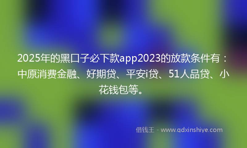 2025年的黑口子必下款app2023的放款条件有：中原消费金融、好期贷、平安i贷、51人品贷、小花钱包等。