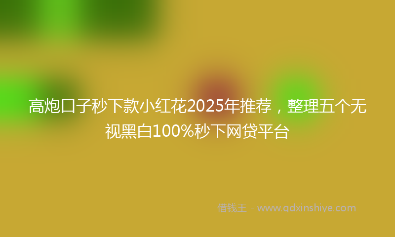 高炮口子秒下款小红花2025年推荐，整理五个无视黑白100%秒下网贷平台