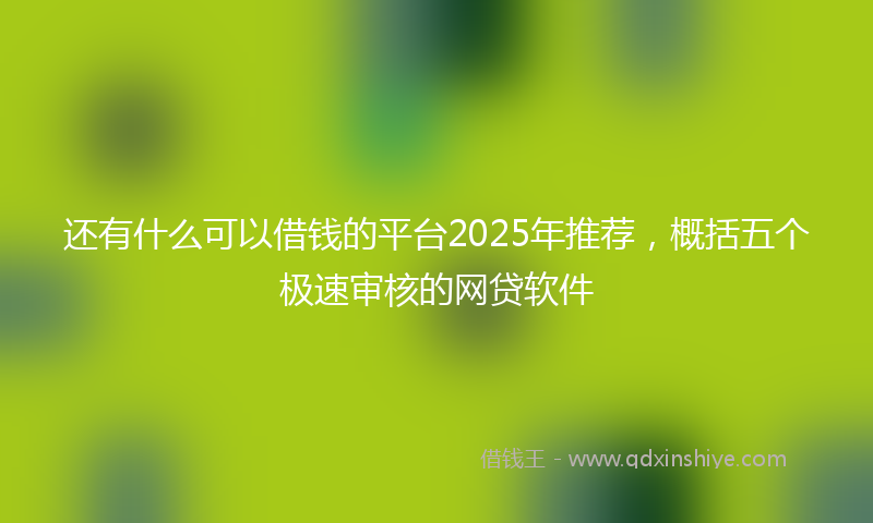 还有什么可以借钱的平台2025年推荐，概括五个极速审核的网贷软件