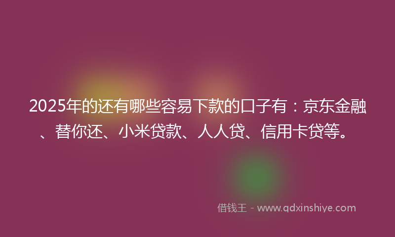 2025年的还有哪些容易下款的口子有：京东金融、替你还、小米贷款、人人贷、信用卡贷等。