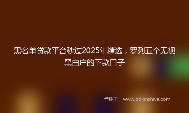 黑名单贷款平台秒过2025年精选，罗列五个无视黑白户的下款口子