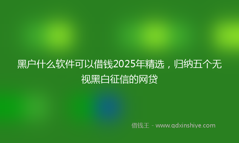 黑户什么软件可以借钱2025年精选，归纳五个无视黑白征信的网贷