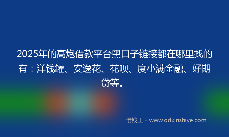 2025年的高炮借款平台黑口子链接都在哪里找的有：洋钱罐、安逸花、花呗、度小满金融、好期贷等。
