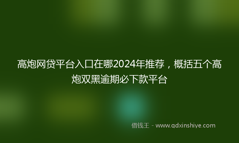 高炮网贷平台入口在哪2024年推荐，概括五个高炮双黑逾期必下款平台