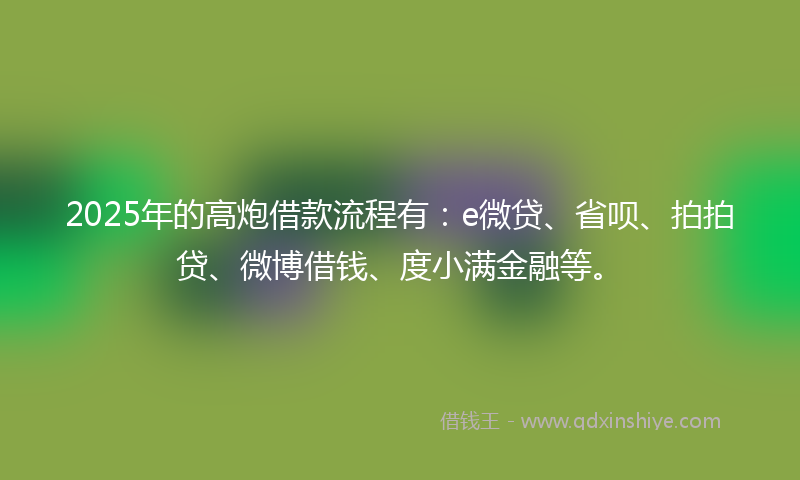 2025年的高炮借款流程有：e微贷、省呗、拍拍贷、微博借钱、度小满金融等。