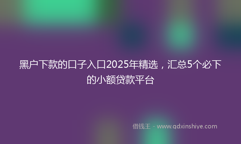 黑户下款的口子入口2025年精选，汇总5个必下的小额贷款平台