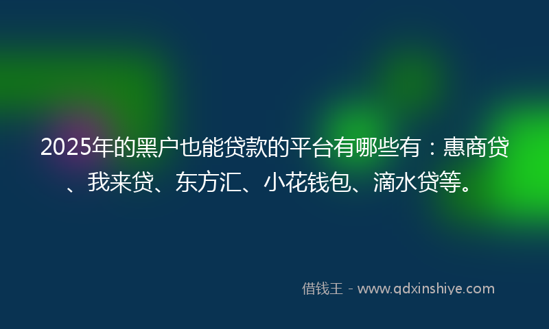 2025年的黑户也能贷款的平台有哪些有：惠商贷、我来贷、东方汇、小花钱包、滴水贷等。