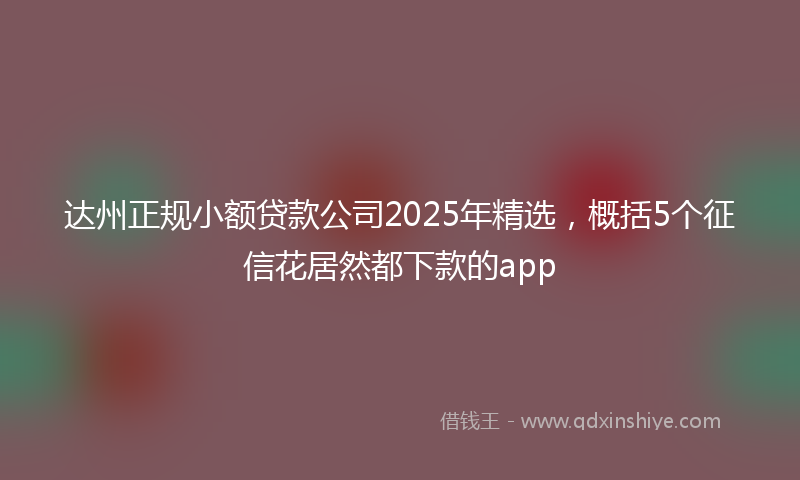 达州正规小额贷款公司2025年精选，概括5个征信花居然都下款的app