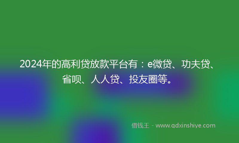 2024年的高利贷放款平台有：e微贷、功夫贷、省呗、人人贷、投友圈等。