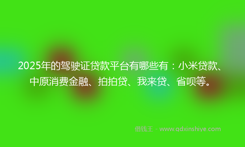 2025年的驾驶证贷款平台有哪些有：小米贷款、中原消费金融、拍拍贷、我来贷、省呗等。