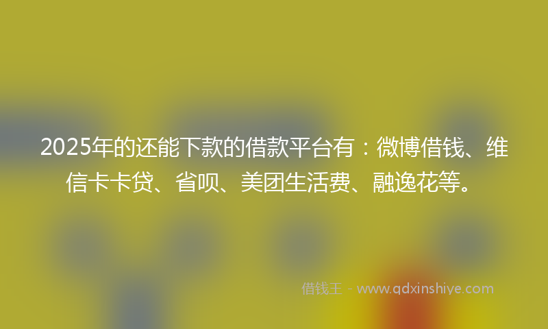 2025年的还能下款的借款平台有：微博借钱、维信卡卡贷、省呗、美团生活费、融逸花等。
