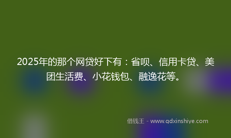 2025年的那个网贷好下有：省呗、信用卡贷、美团生活费、小花钱包、融逸花等。