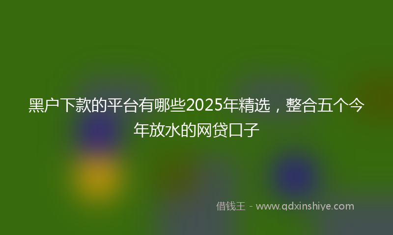 黑户下款的平台有哪些2025年精选，整合五个今年放水的网贷口子