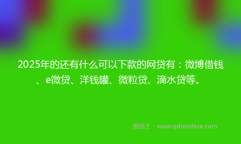 2025年的还有什么可以下款的网贷有：微博借钱、e微贷、洋钱罐、微粒贷、滴水贷等。