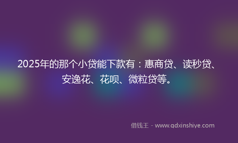 2025年的那个小贷能下款有：惠商贷、读秒贷、安逸花、花呗、微粒贷等。