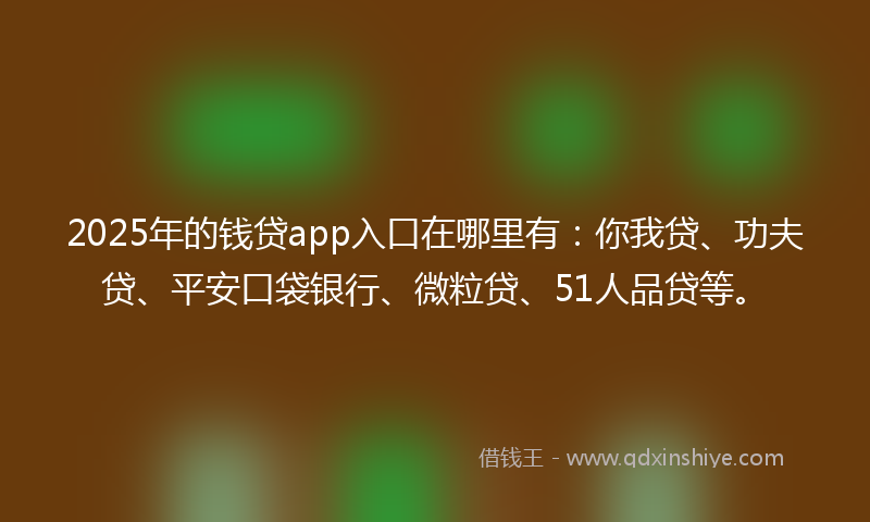 2025年的钱贷app入口在哪里有：你我贷、功夫贷、平安口袋银行、微粒贷、51人品贷等。