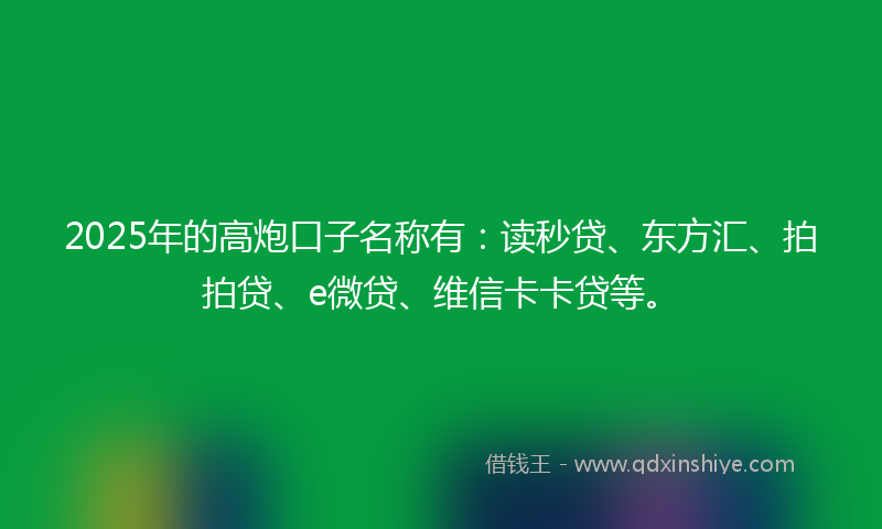 2025年的高炮口子名称有：读秒贷、东方汇、拍拍贷、e微贷、维信卡卡贷等。