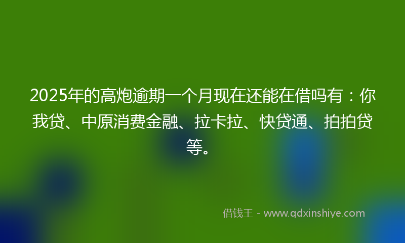 2025年的高炮逾期一个月现在还能在借吗有：你我贷、中原消费金融、拉卡拉、快贷通、拍拍贷等。