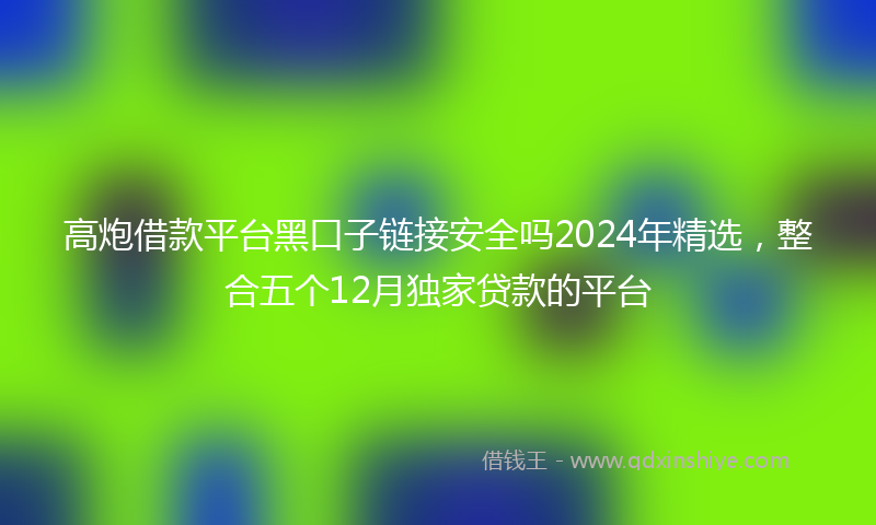 高炮借款平台黑口子链接安全吗2024年精选，整合五个12月独家贷款的平台