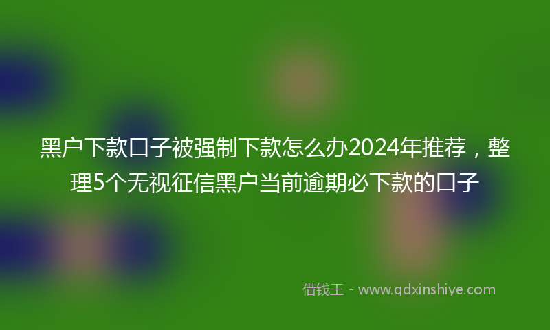 黑户下款口子被强制下款怎么办2024年推荐，整理5个无视征信黑户当前逾期必下款的口子