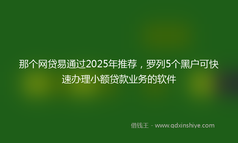 那个网贷易通过2025年推荐，罗列5个黑户可快速办理小额贷款业务的软件