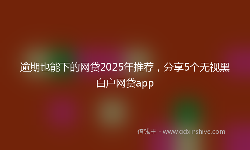 逾期也能下的网贷2025年推荐，分享5个无视黑白户网贷app