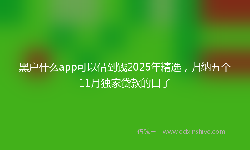 黑户什么app可以借到钱2025年精选，归纳五个11月独家贷款的口子