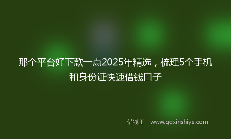 那个平台好下款一点2025年精选，梳理5个手机和身份证快速借钱口子