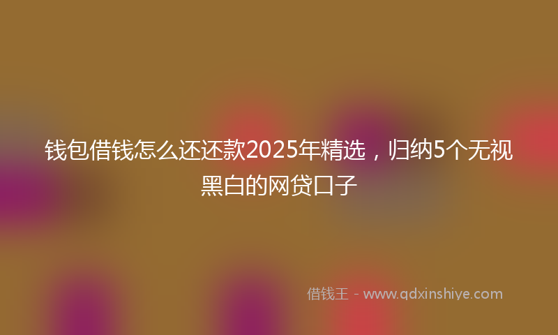 钱包借钱怎么还还款2025年精选，归纳5个无视黑白的网贷口子