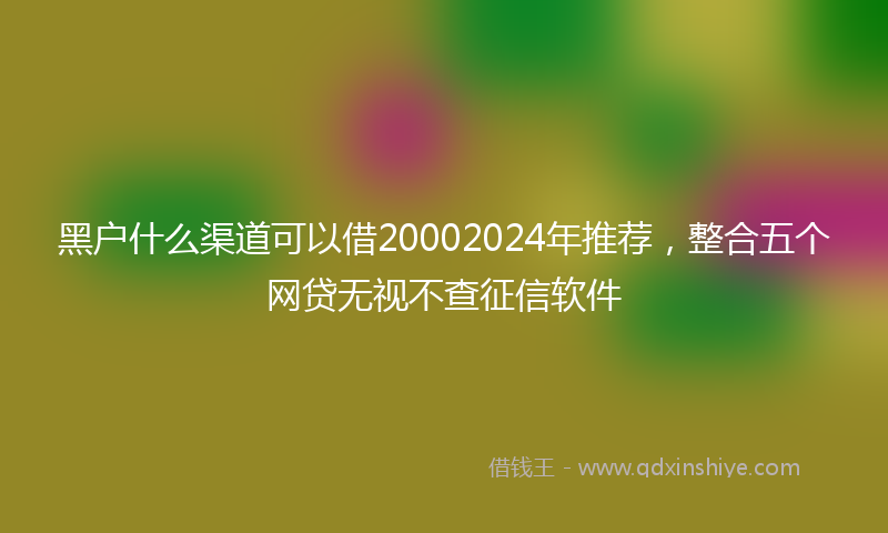 黑户什么渠道可以借20002024年推荐，整合五个网贷无视不查征信软件