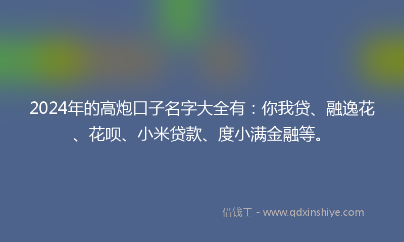 2024年的高炮口子名字大全有：你我贷、融逸花、花呗、小米贷款、度小满金融等。