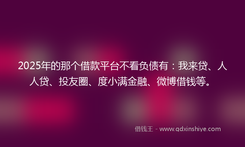 2025年的那个借款平台不看负债有：我来贷、人人贷、投友圈、度小满金融、微博借钱等。