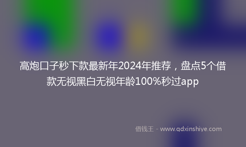 高炮口子秒下款最新年2024年推荐，盘点5个借款无视黑白无视年龄100%秒过app