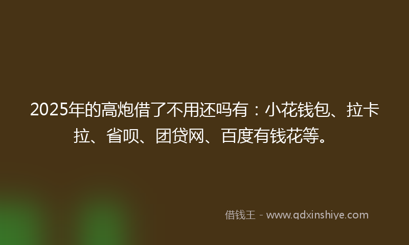2025年的高炮借了不用还吗有：小花钱包、拉卡拉、省呗、团贷网、百度有钱花等。