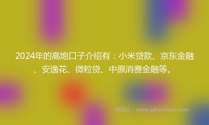 2024年的高炮口子介绍有：小米贷款、京东金融、安逸花、微粒贷、中原消费金融等。
