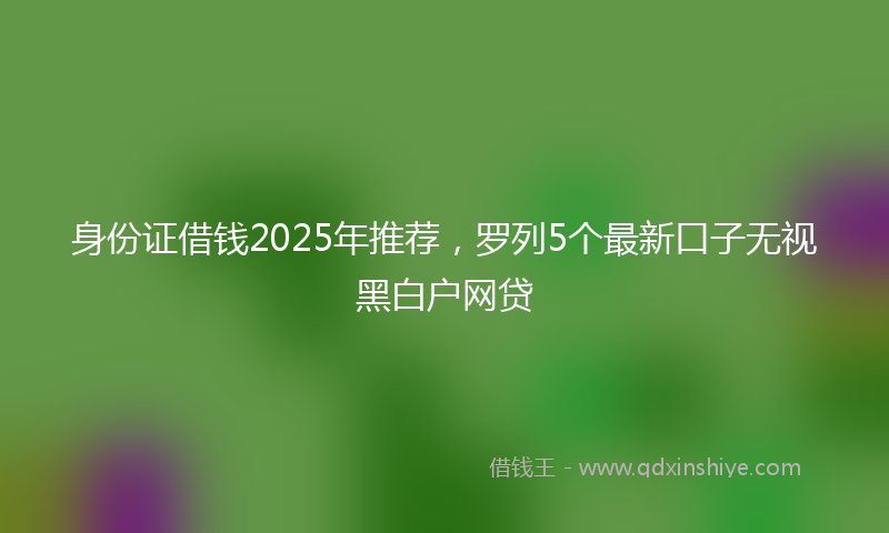 身份证借钱2025年推荐，罗列5个最新口子无视黑白户网贷