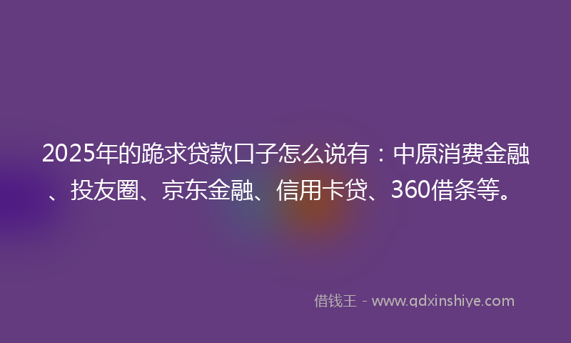 2025年的跪求贷款口子怎么说有：中原消费金融、投友圈、京东金融、信用卡贷、360借条等。