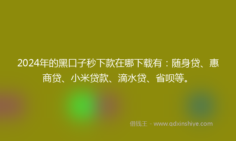 2024年的黑口子秒下款在哪下载有：随身贷、惠商贷、小米贷款、滴水贷、省呗等。
