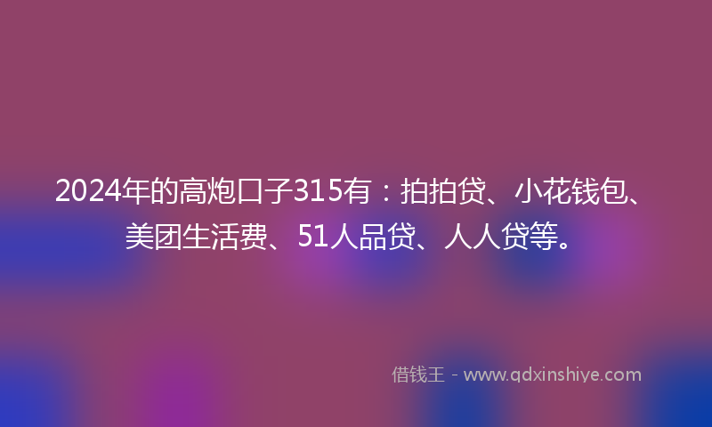 2024年的高炮口子315有：拍拍贷、小花钱包、美团生活费、51人品贷、人人贷等。