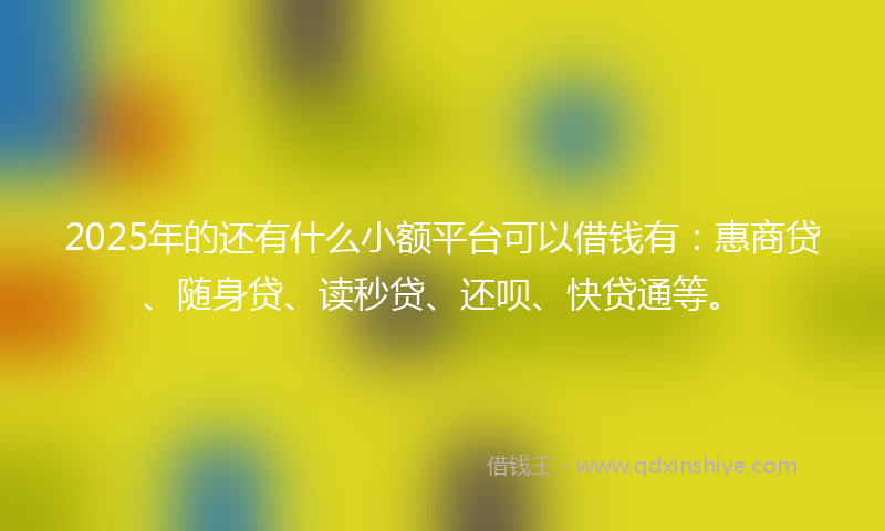 2025年的还有什么小额平台可以借钱有：惠商贷、随身贷、读秒贷、还呗、快贷通等。
