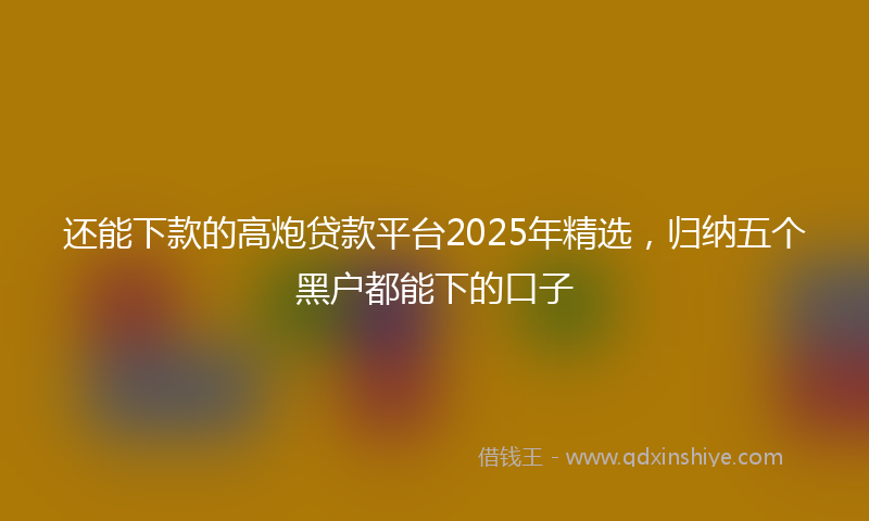 还能下款的高炮贷款平台2025年精选，归纳五个黑户都能下的口子
