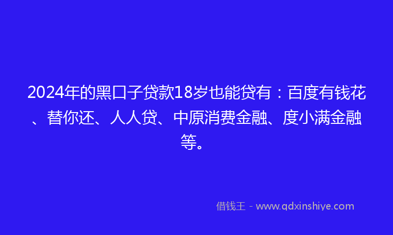 2024年的黑口子贷款18岁也能贷有：百度有钱花、替你还、人人贷、中原消费金融、度小满金融等。