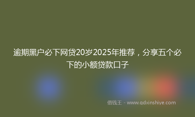 逾期黑户必下网贷20岁2025年推荐，分享五个必下的小额贷款口子