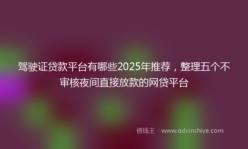 驾驶证贷款平台有哪些2025年推荐，整理五个不审核夜间直接放款的网贷平台