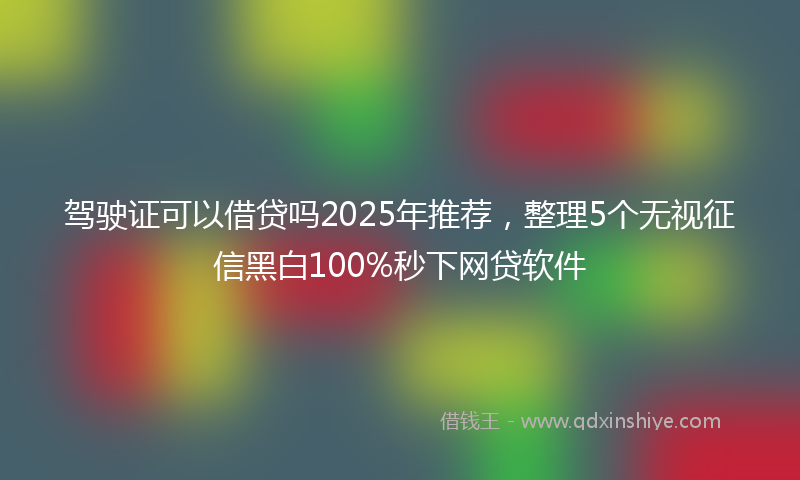 驾驶证可以借贷吗2025年推荐，整理5个无视征信黑白100%秒下网贷软件