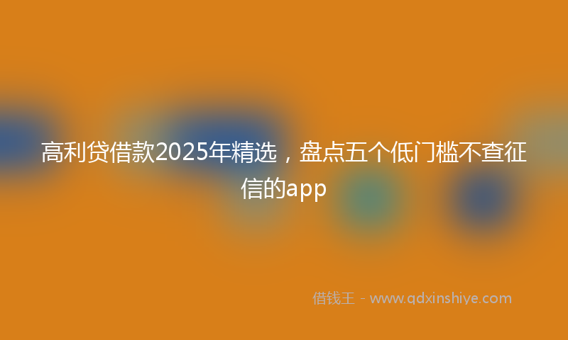 高利贷借款2025年精选，盘点五个低门槛不查征信的app